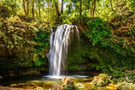 Jim Corbett Corbett Falls Landscape Image